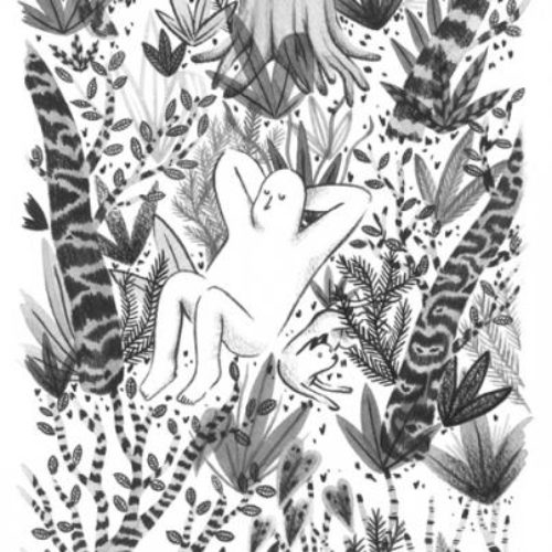 Vamille1