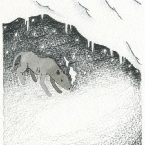 Vamille5
