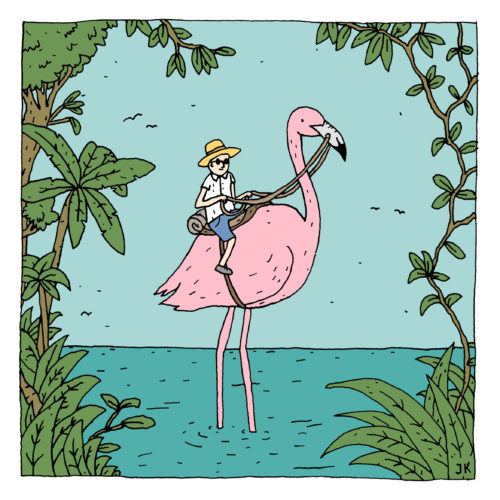 flamingo-color-final