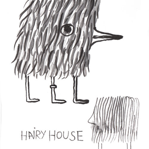 hairyhouse