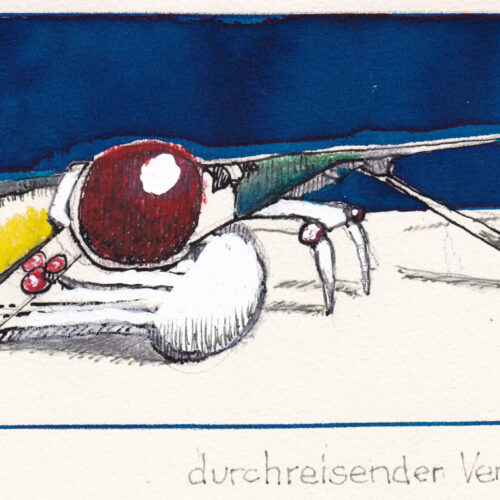 durchrVerehrer