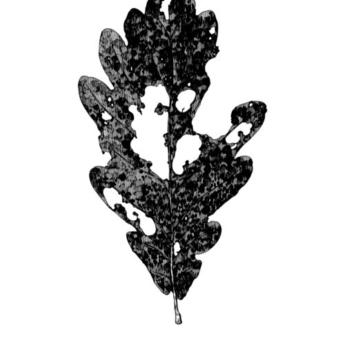 A4_feuille_7